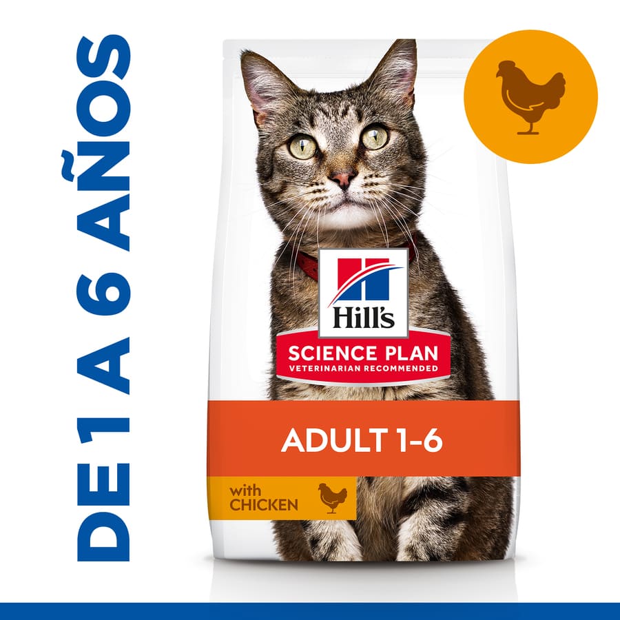 Hill's Adult Science Plan Frango ração para gatos